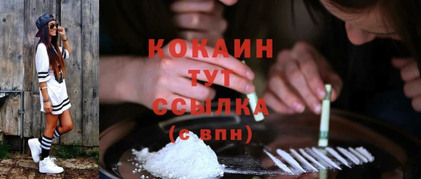 mdpv Белокуриха