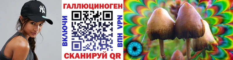 Псилоцибиновые грибы ЛСД  Лабинск 